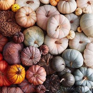 Meet your Posher, Angeles